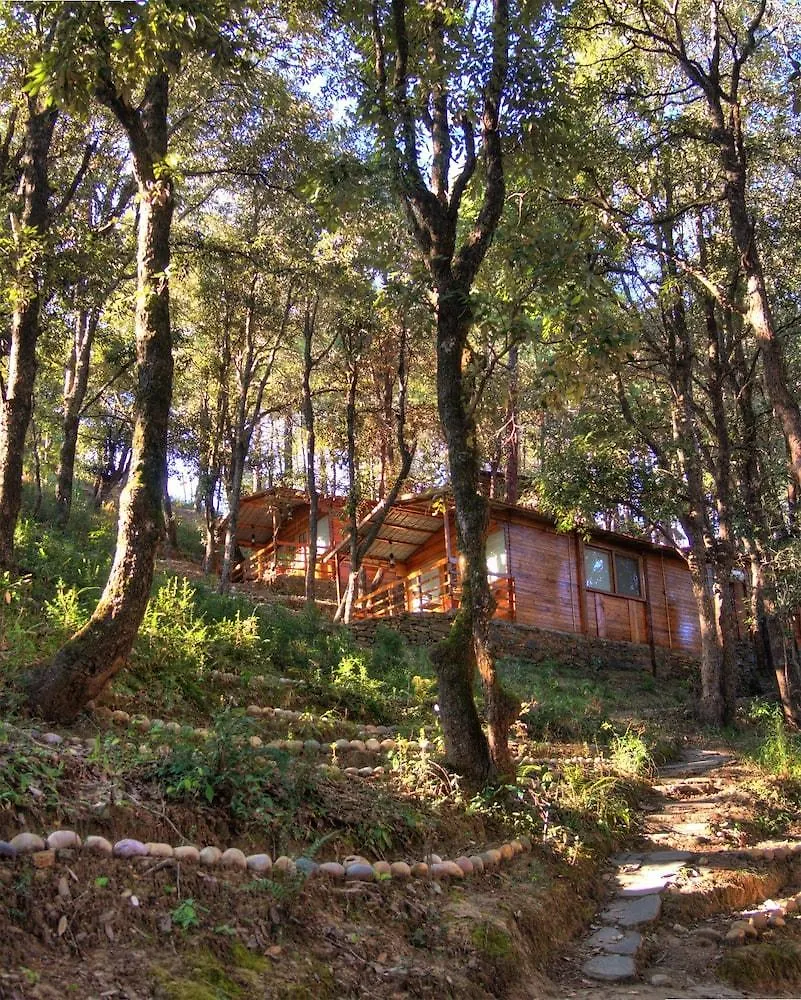 **** Hotel Aamod Resort Shimla India