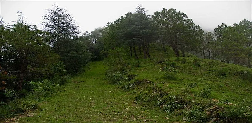 Aamod Resort Shimla Hotel