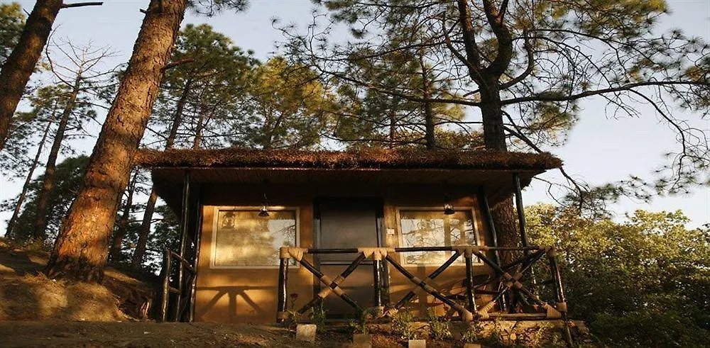 Aamod Resort Shimla