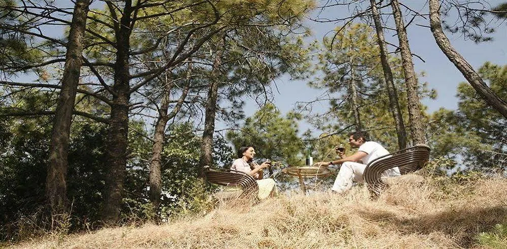 Hotel Aamod Resort Shimla